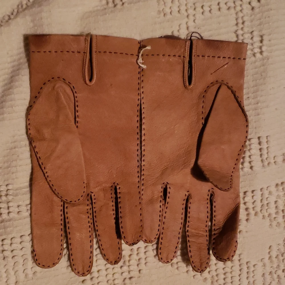 NWT☆ Daniel Hays Gloves